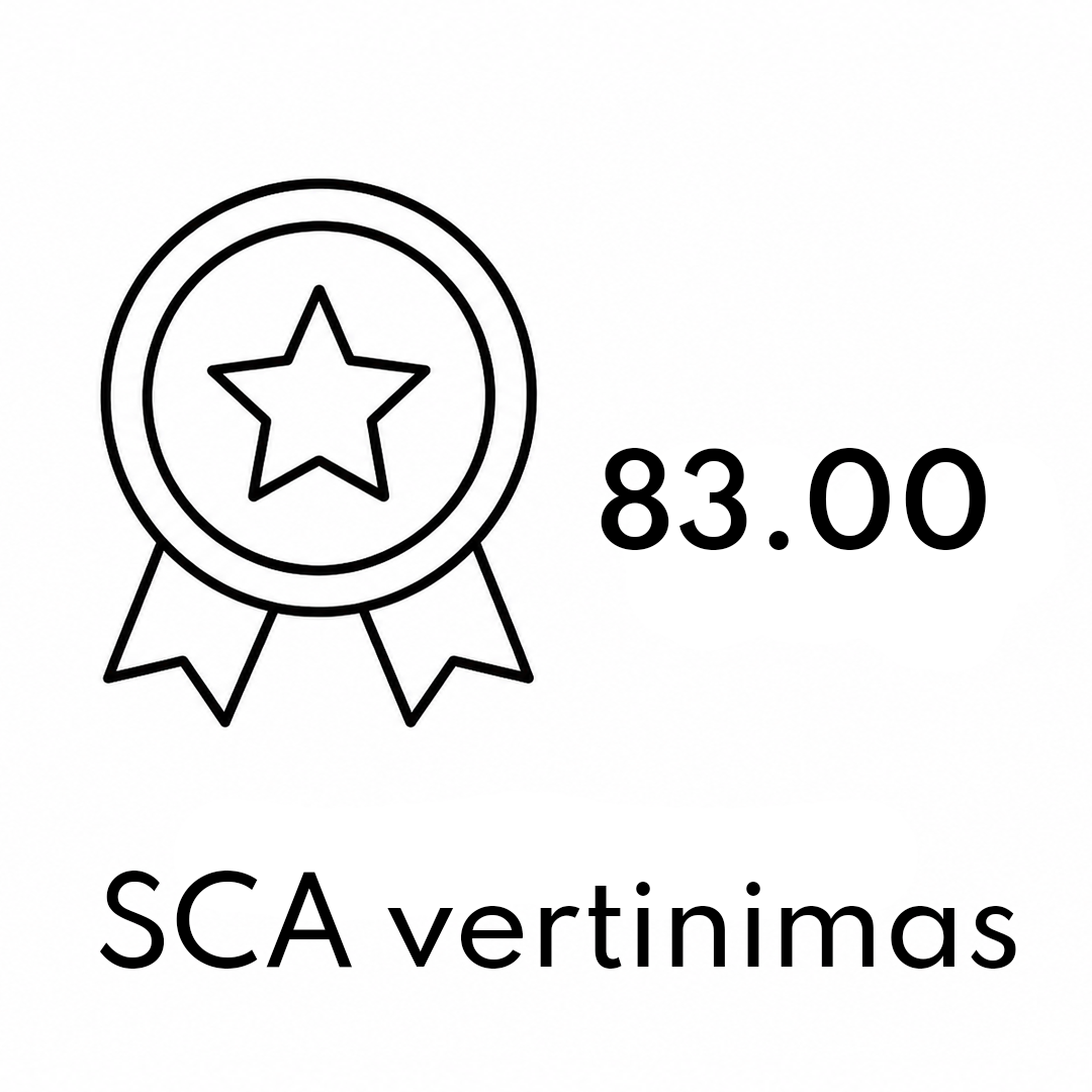 SCA vertinimas